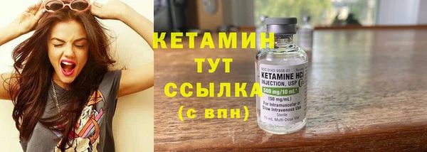прущие грибы Лабытнанги