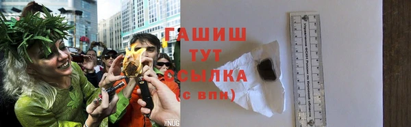 прущие грибы Лабытнанги