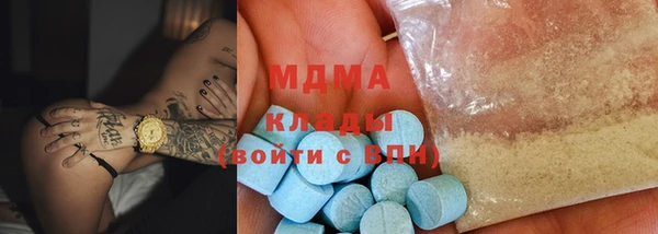 индика Ладушкин