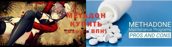 прущие грибы Лабытнанги