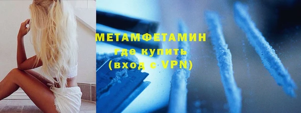 индика Ладушкин