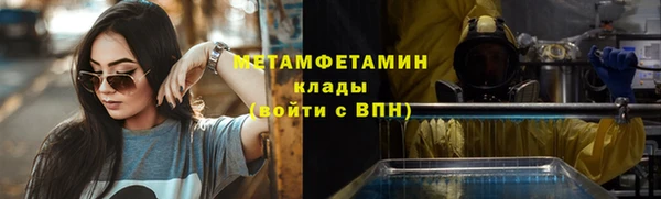 прущие грибы Лабытнанги