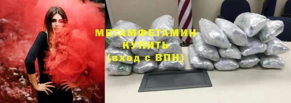 прущие грибы Лабытнанги