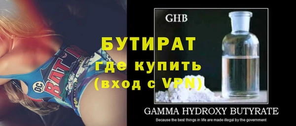 прущие грибы Лабытнанги