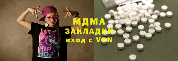 индика Ладушкин