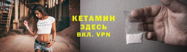индика Ладушкин