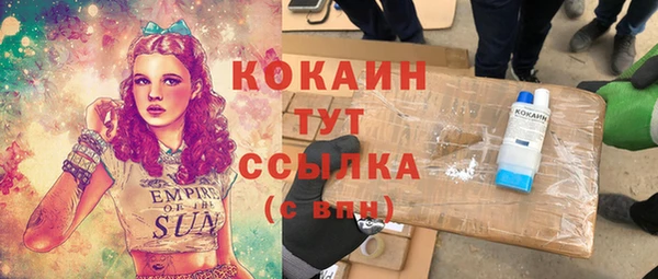 индика Ладушкин