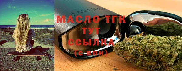 индика Ладушкин