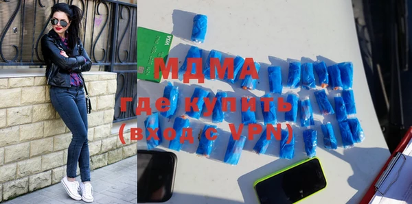 прущие грибы Лабытнанги
