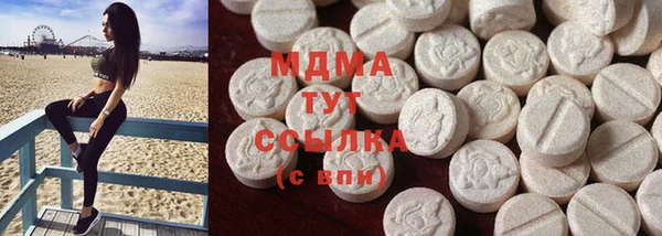 прущие грибы Лабытнанги