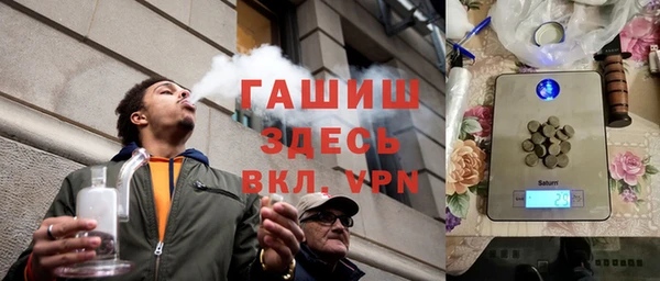 индика Ладушкин