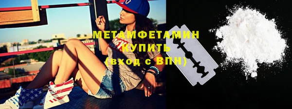 прущие грибы Лабытнанги