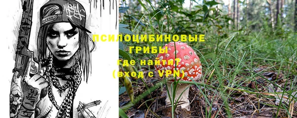 индика Ладушкин