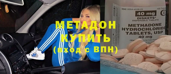 индика Ладушкин