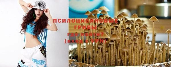 прущие грибы Лабытнанги