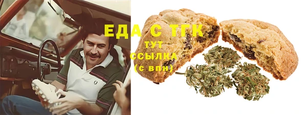 прущие грибы Лабытнанги