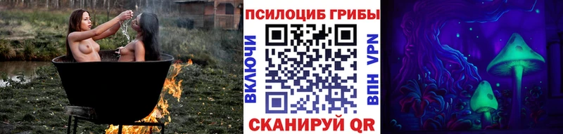 Галлюциногенные грибы Magic Shrooms  Суворов 