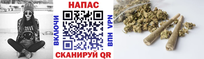 Конопля конопля Суворов